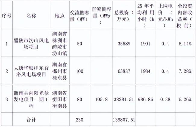 （大唐华银电力股份有限公司关于投资开发新能源发电项目的公告0607）