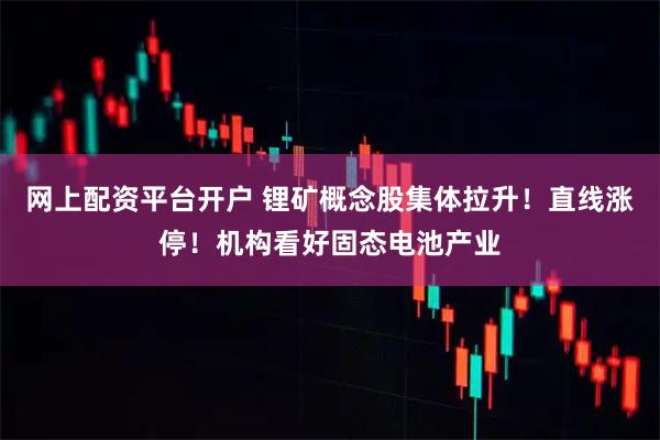 网上配资平台开户 锂矿概念股集体拉升！直线涨停！机构看好固态电池产业