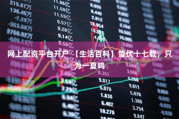 网上配资平台开户 【生活百科】蛰伏十七载，只为一夏鸣